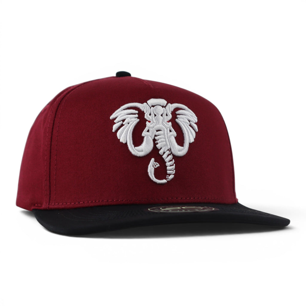 GORRA JC HATS ELEPHANT WINE/BLACK