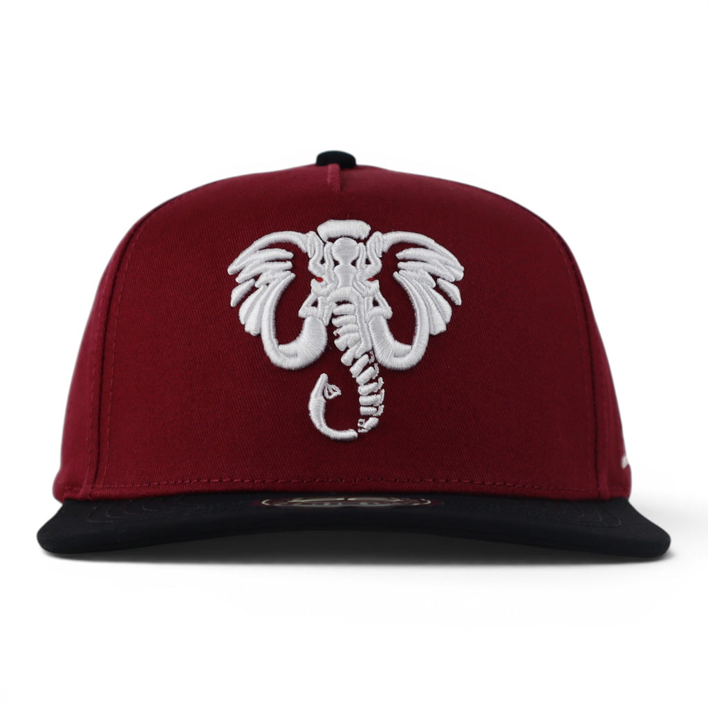 GORRA JC HATS ELEPHANT WINE/BLACK