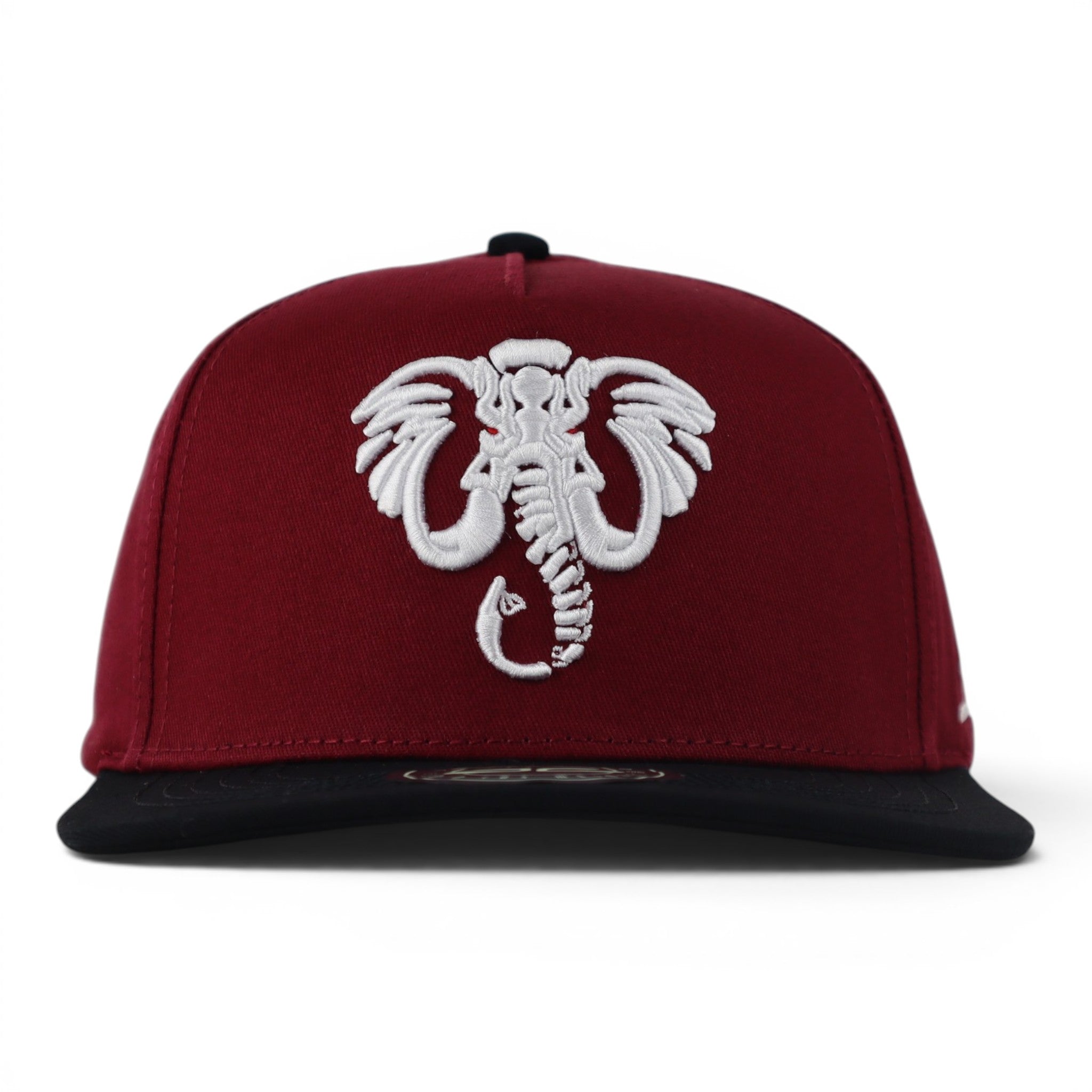 GORRA JC HATS ELEPHANT WINE/BLACK