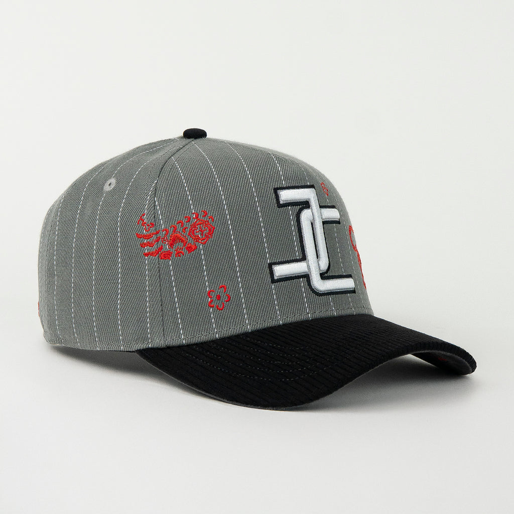 Gorra JC Hats TIGER GRY/BLACK de Tela | Snapback Visera Curva