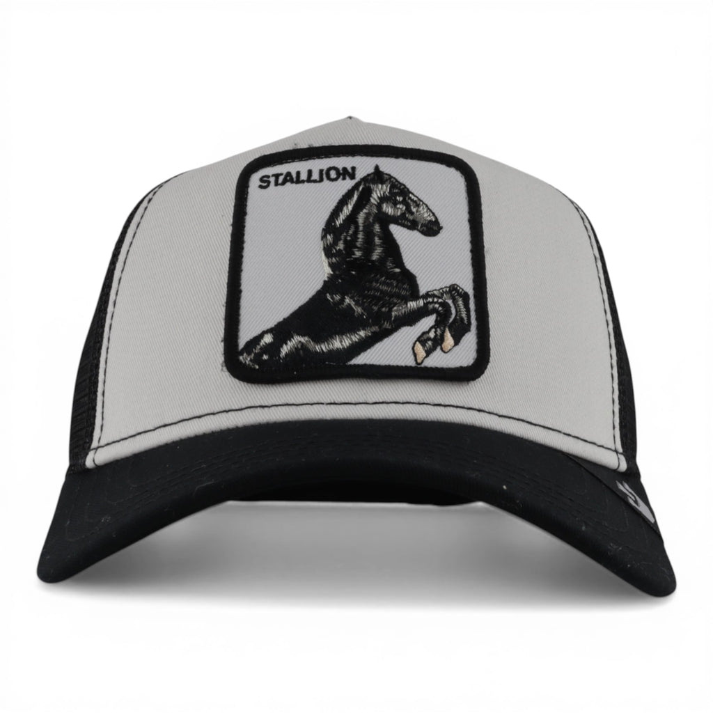 THE STALLION WHITE/BLACK