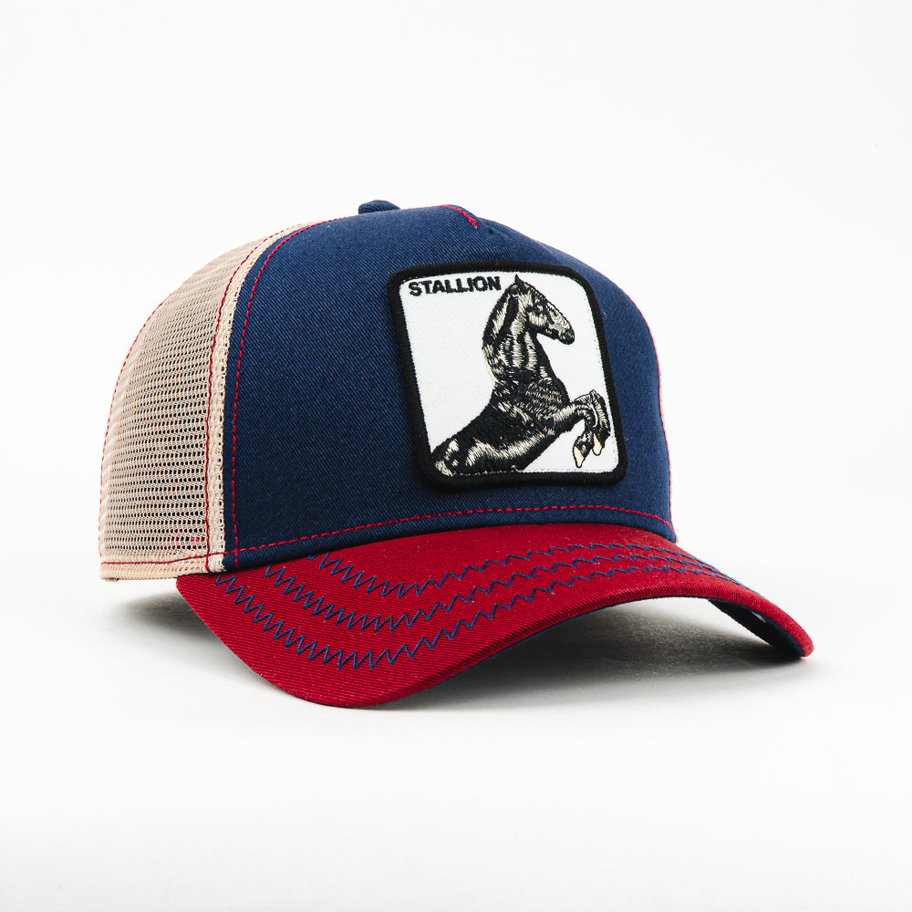 GORRA GOORIN BROS THE STALLION NAVY/WINE