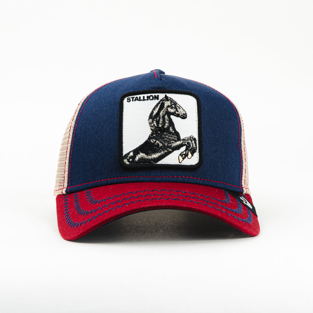 GORRA GOORIN BROS THE STALLION NAVY/WINE