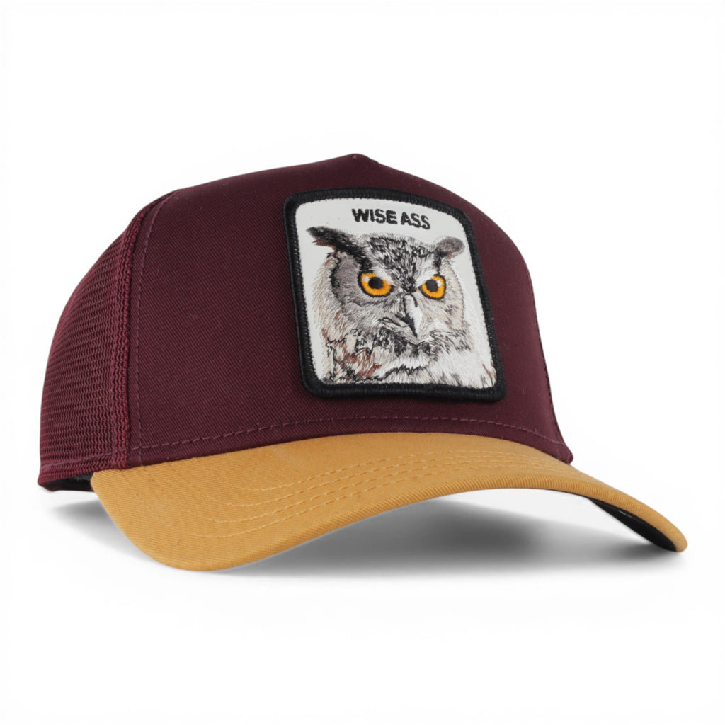GORRA GOORIN BROS OWL WISE ASS WINE/MUST