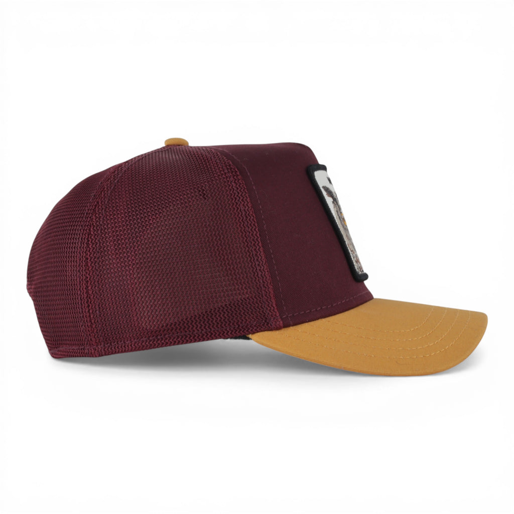 GORRA GOORIN BROS OWL WISE ASS WINE/MUST