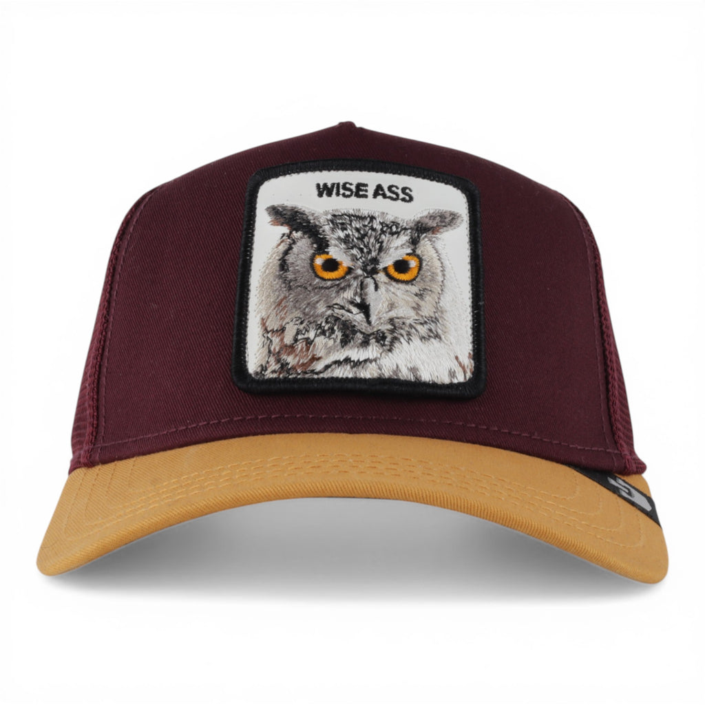 GORRA GOORIN BROS OWL WISE ASS WINE/MUST