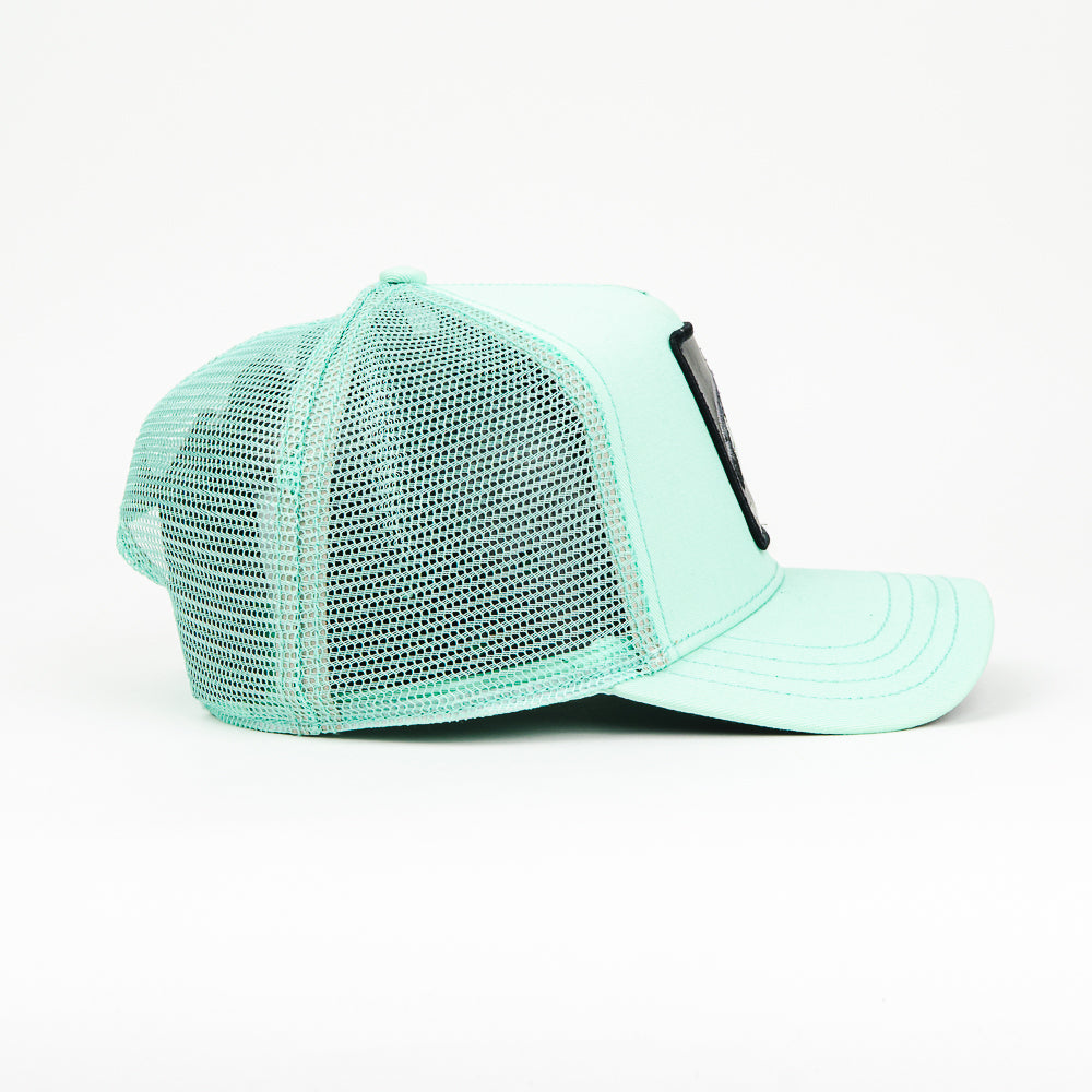 GORRA GOORIN BROS THE KILLER ORCA MINT