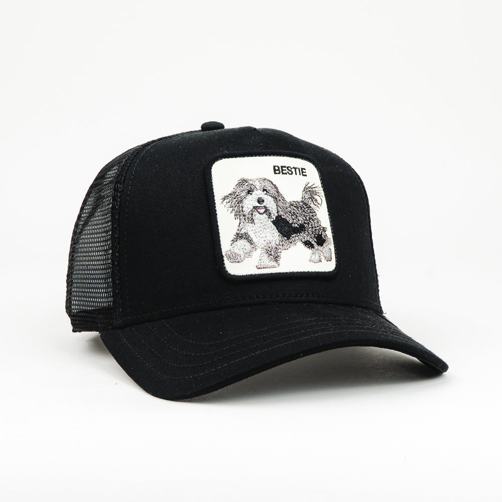 GORRA GOORIN BROS THE BESTIE DOG BLACK