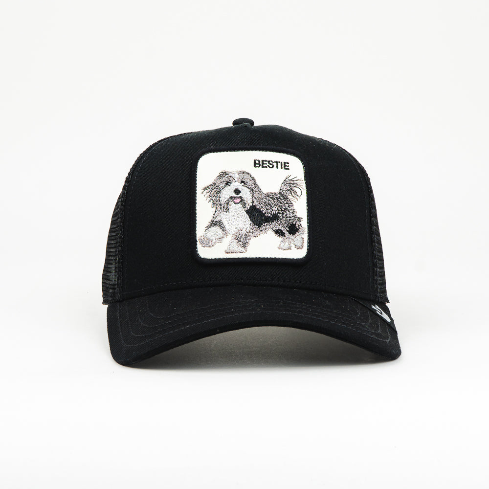 GORRA GOORIN BROS THE BESTIE DOG BLACK
