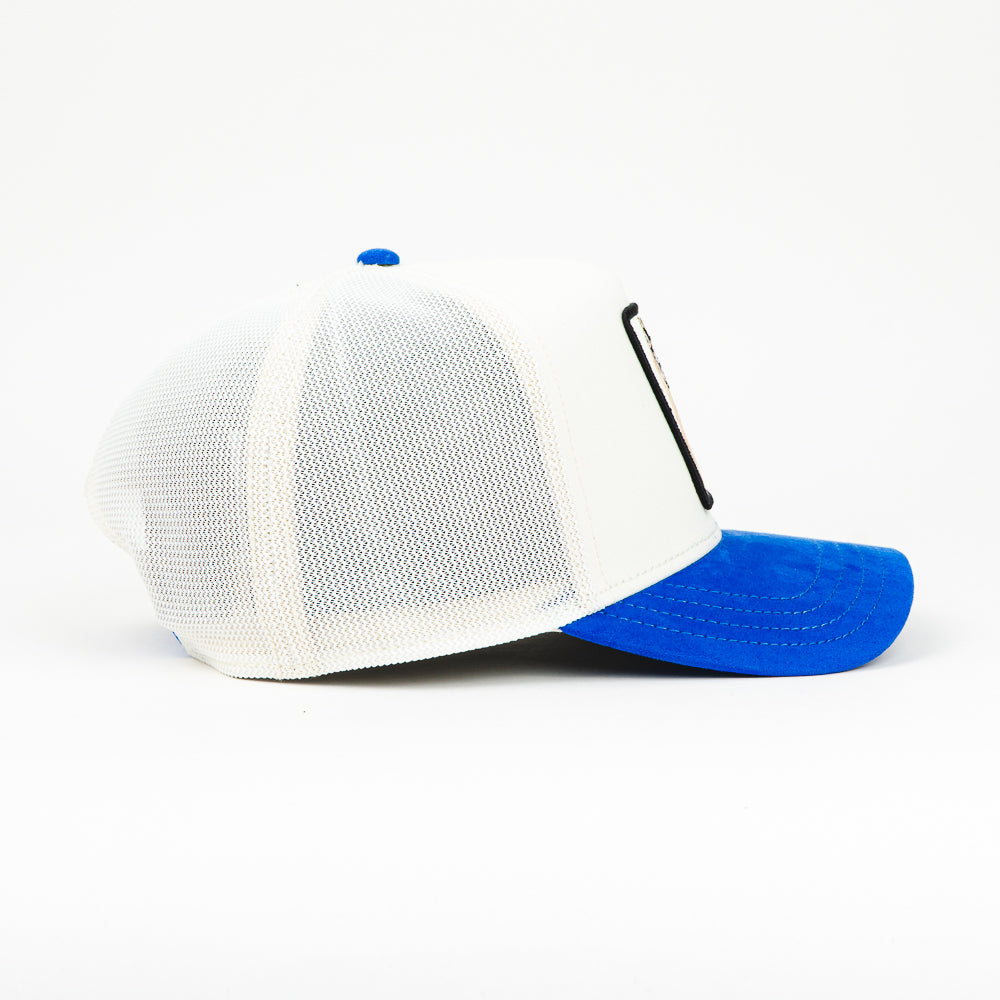 GORRA GOORIN BROS THE SUEDE HORSE BLUE/WHT