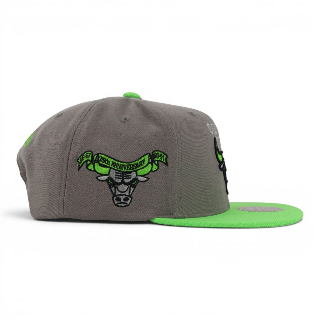 BULLS GREY/GREEN