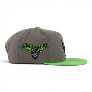 BULLS GREY/GREEN