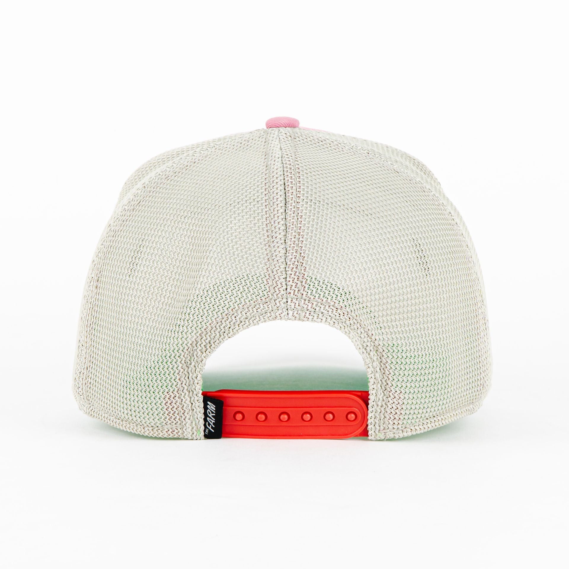 Gorra Goorin Bros COCK PINK | Snapback Visera Curva