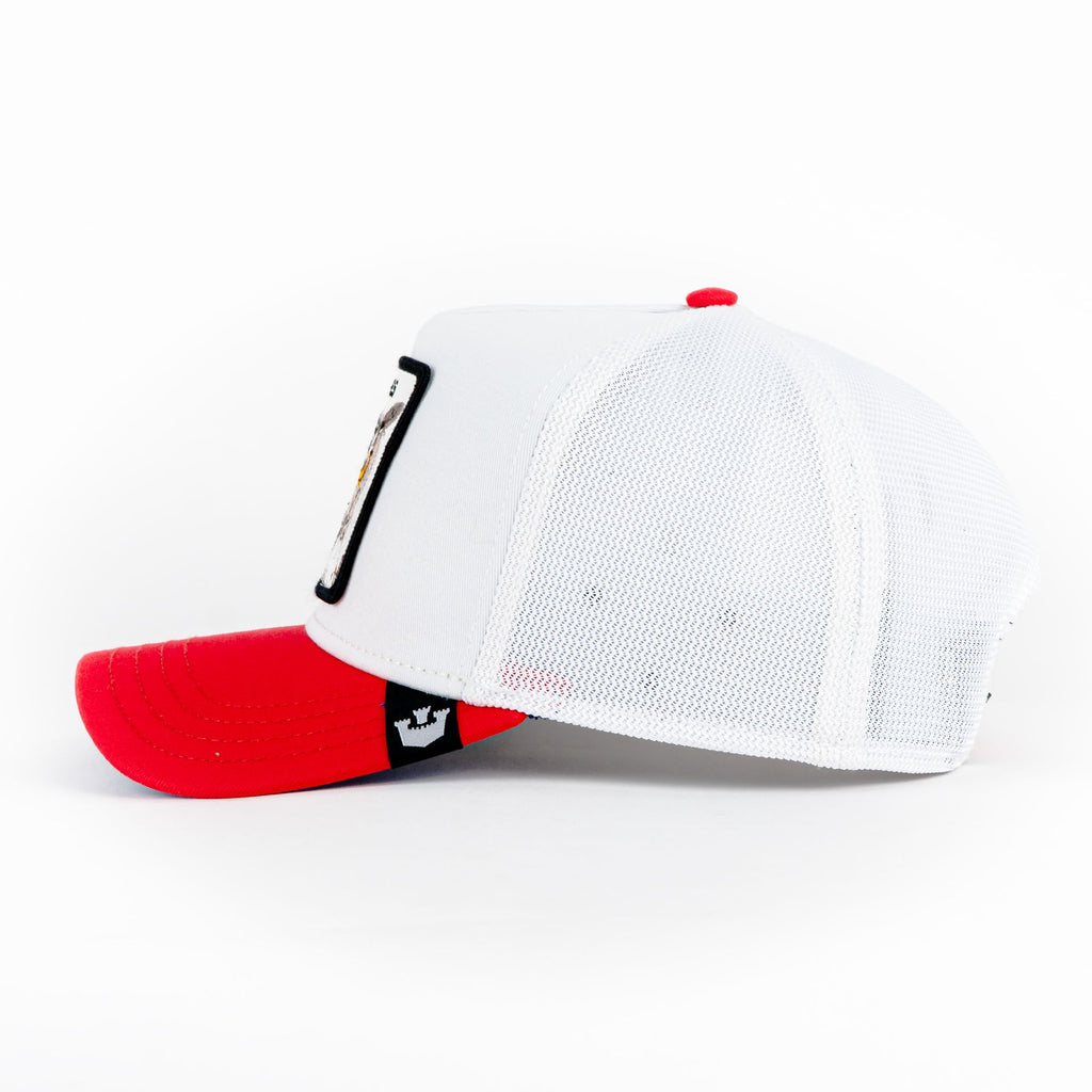Gorra Goorin Bros CUM LAUDE WISE ASS WHITE/RED | Snapback Visera Curva