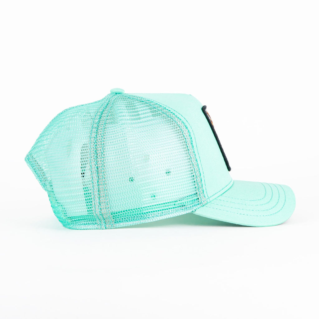 Gorra Goorin Bros THE DRAGON BEAST MINT | Snapback Visera Curva