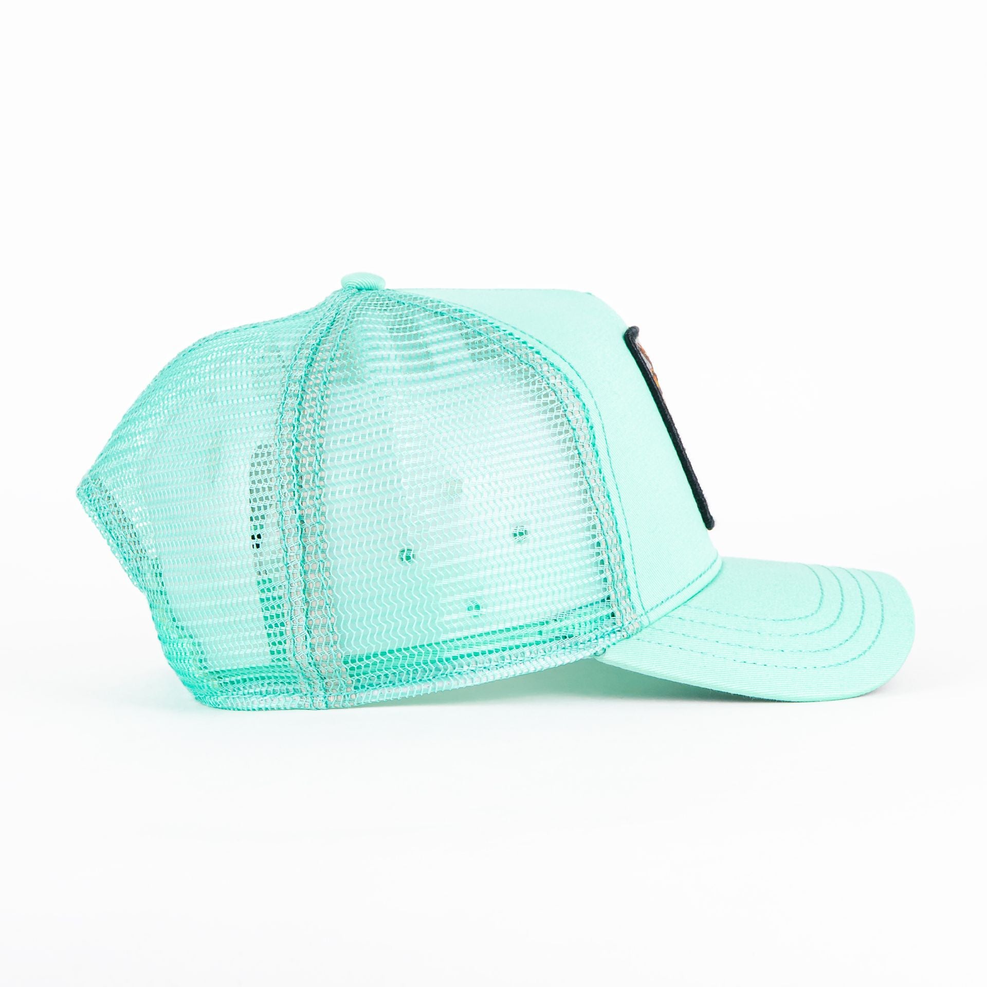 Gorra Goorin Bros THE DRAGON BEAST MINT | Snapback Visera Curva
