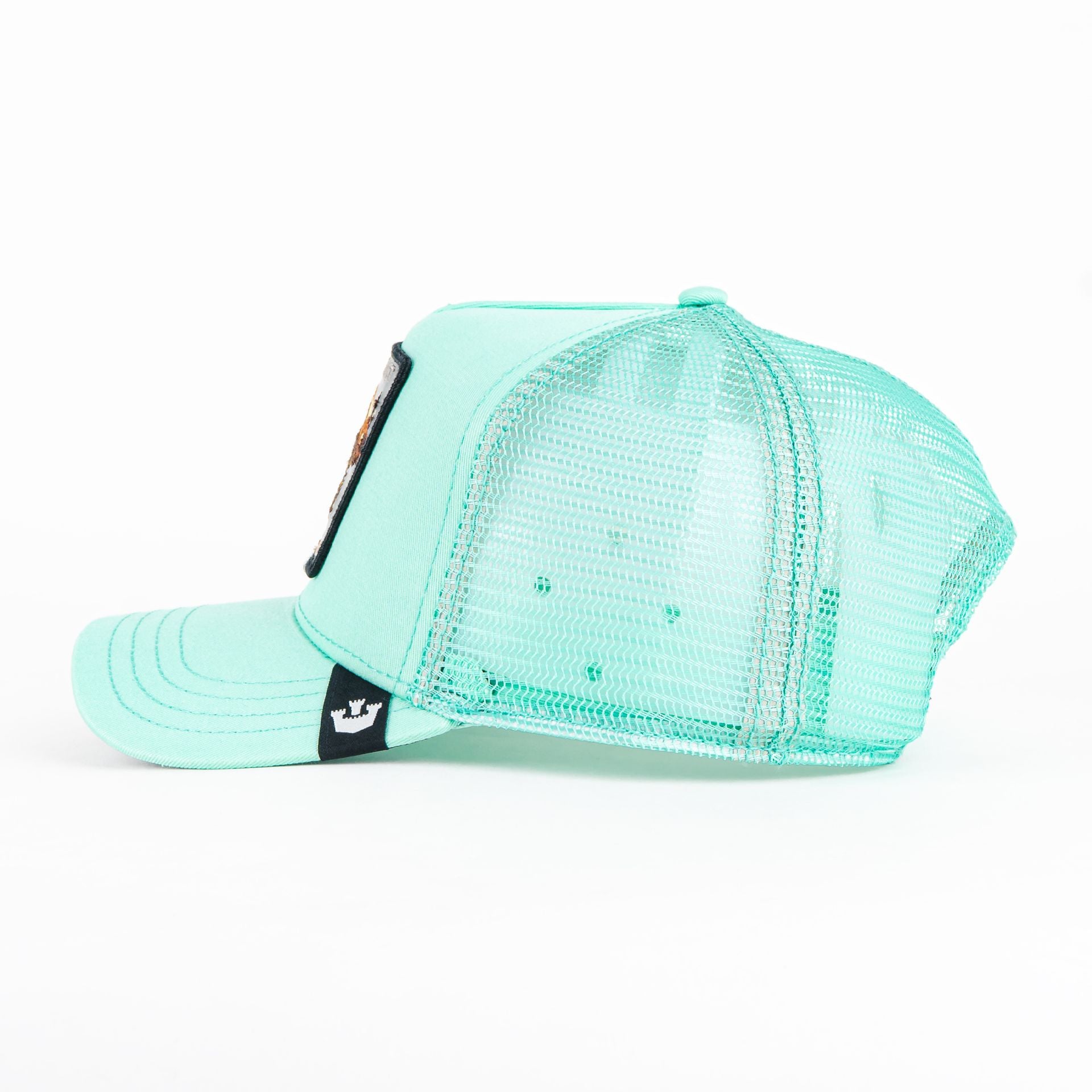 Gorra Goorin Bros THE DRAGON BEAST MINT | Snapback Visera Curva