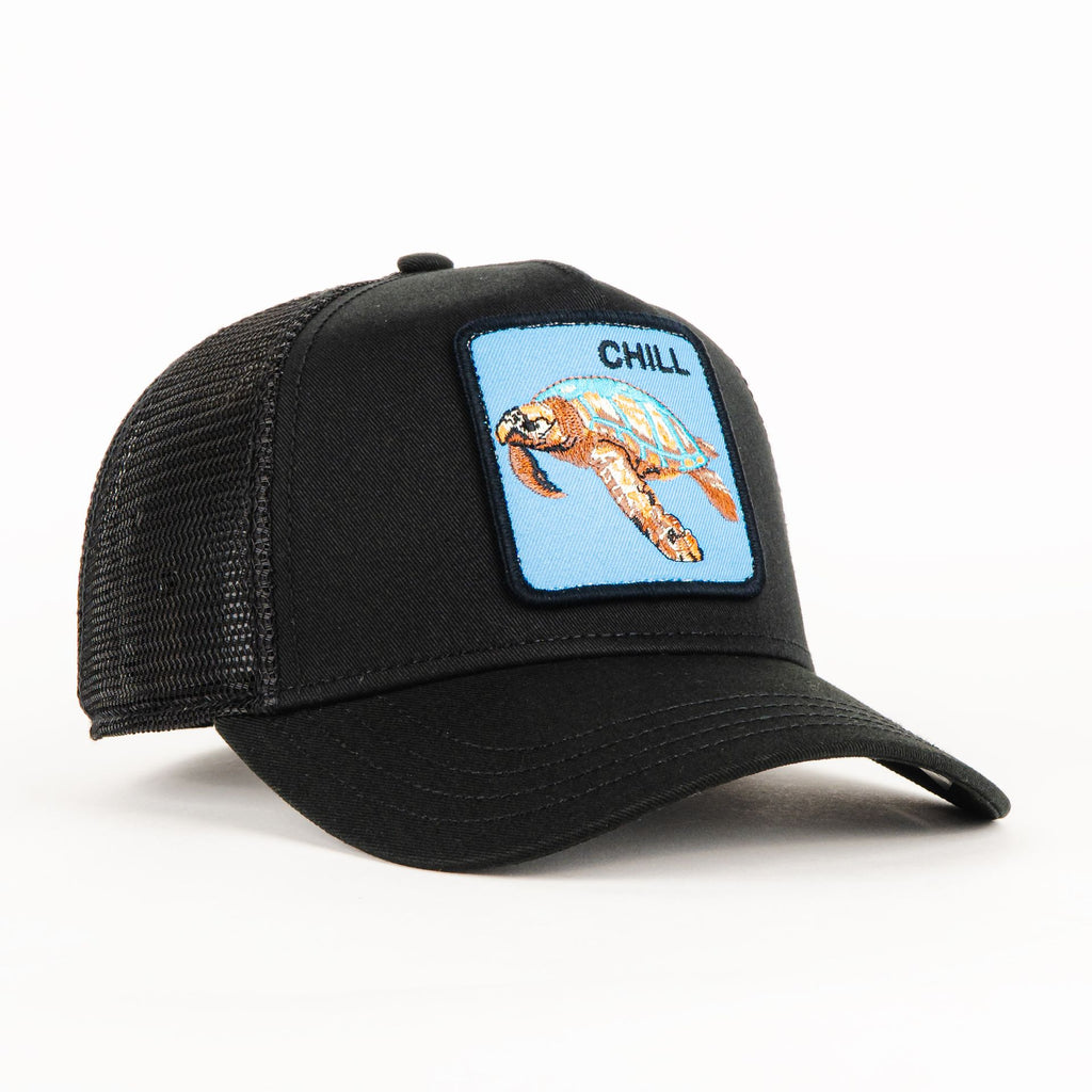 Gorra Goorin Bros THE CHILL SEA TURTLE BLACK | Snapback Visera Curva