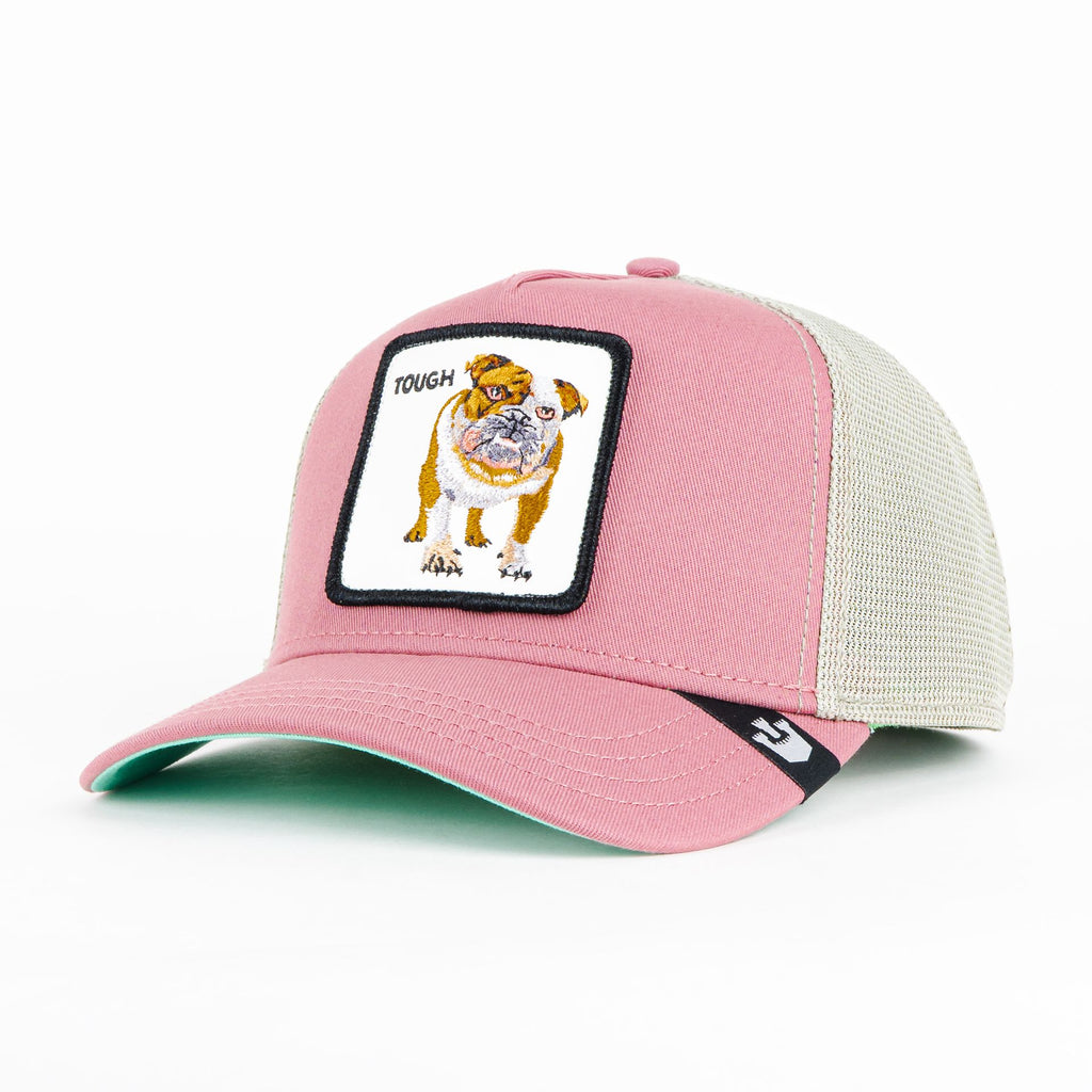Gorra Goorin Bros BULLDOG TOUGH PINK | Snapback Visera Curva