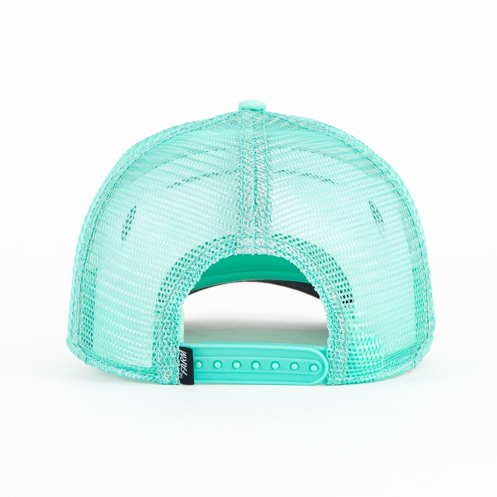 Gorra Goorin Bros THE DRAGON BEAST MINT | Snapback Visera Curva