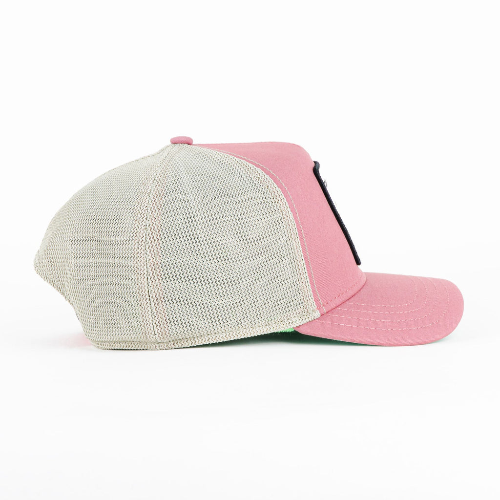 Gorra Goorin Bros BULLDOG TOUGH PINK | Snapback Visera Curva