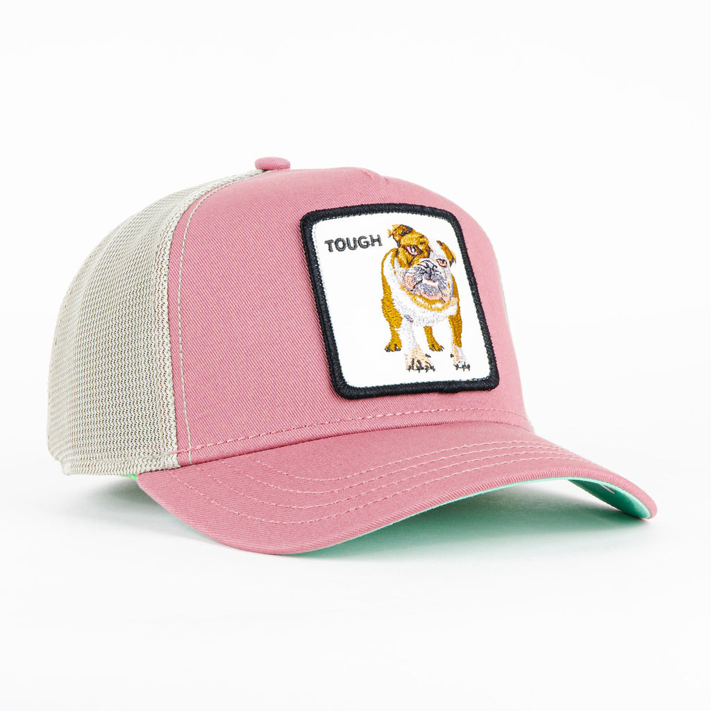 Gorra Goorin Bros BULLDOG TOUGH PINK | Snapback Visera Curva