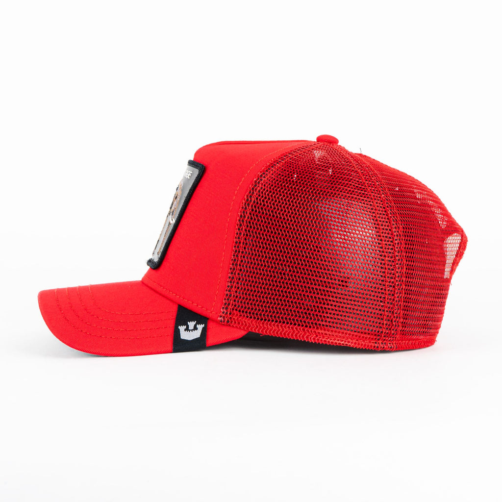 Gorra Goorin Bros THE EXTRA LARGE ELEPHANT RED | Snapback Visera Curva