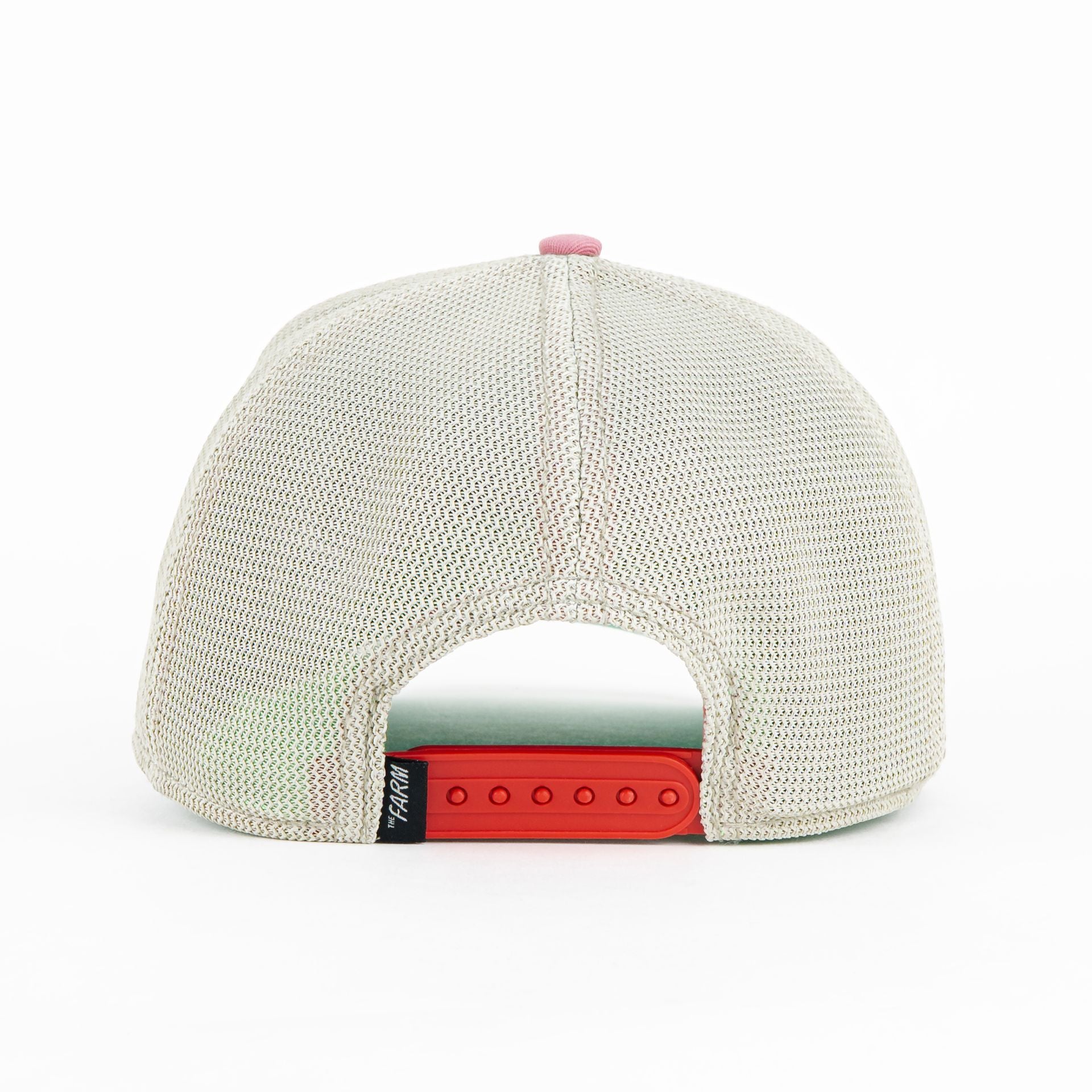 Gorra Goorin Bros BULLDOG TOUGH PINK | Snapback Visera Curva