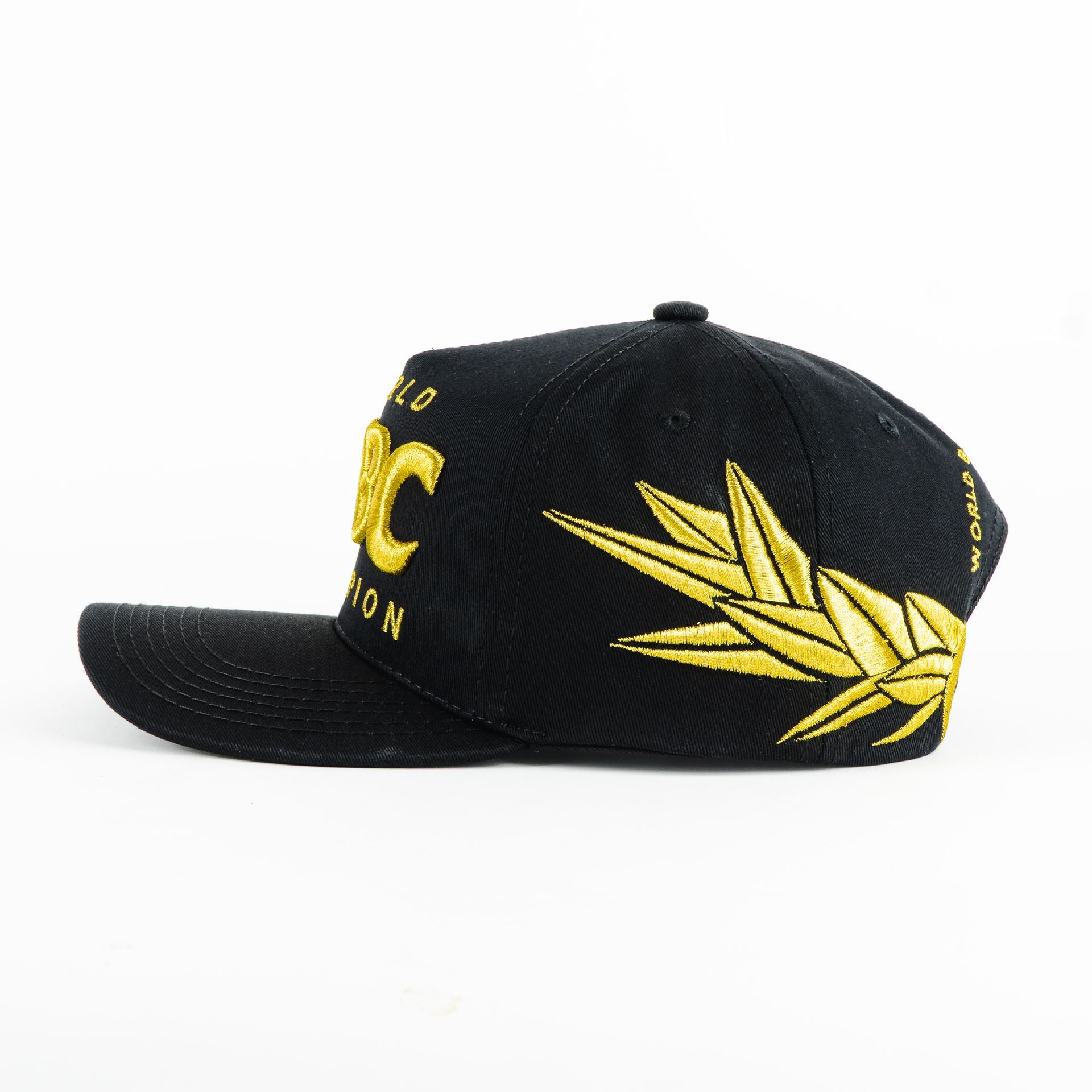 Gorra Diez Cuatro WBC BLACK | Snapback Visera Semicurva