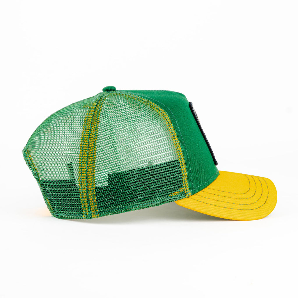Gorra Goorin Bros THE KARMA CHAMELEON GREEN | Snapback Visera Curva