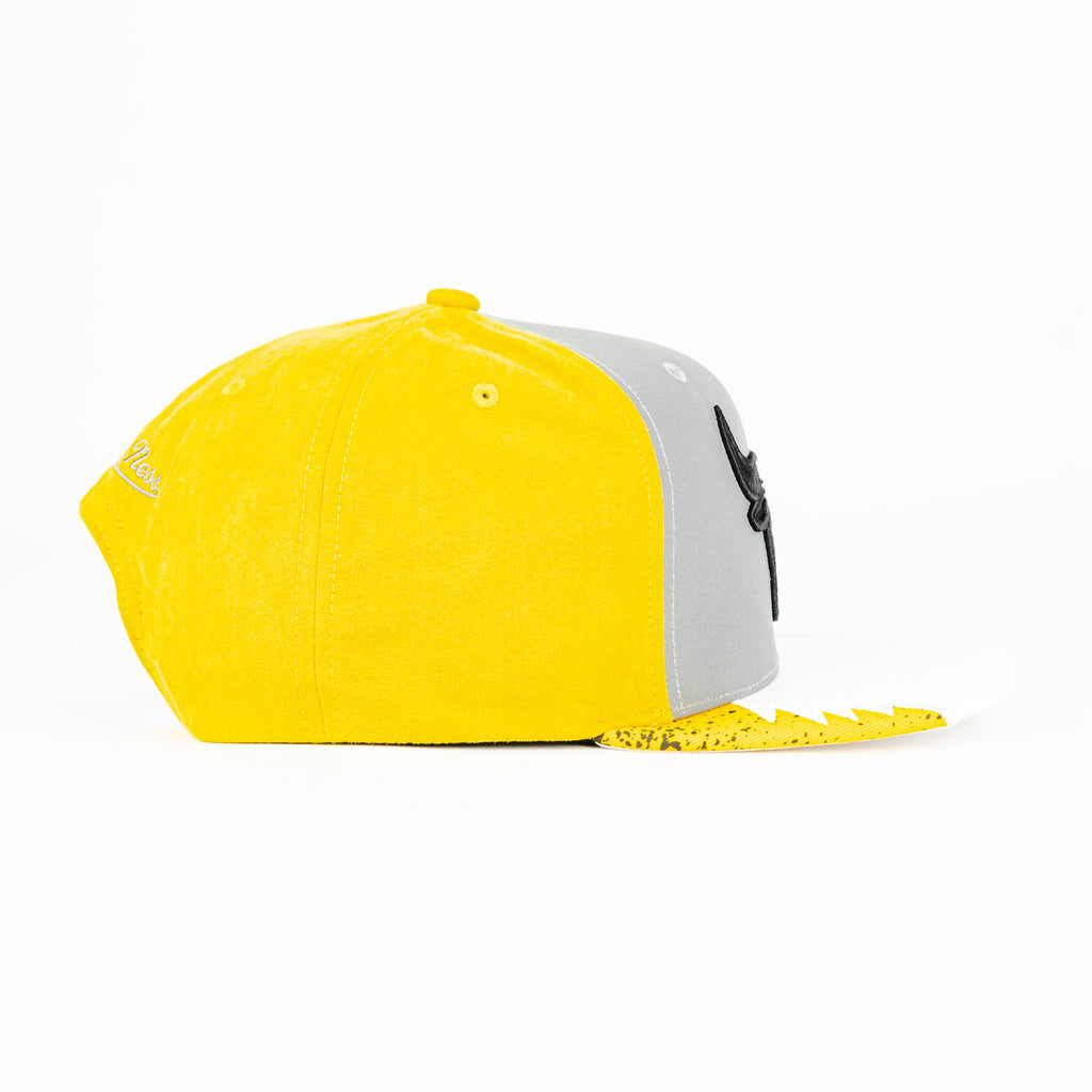 Gorra Mitchell&Ness BULLS DAY 5 YELL/WHT | Snapback Visera Plana