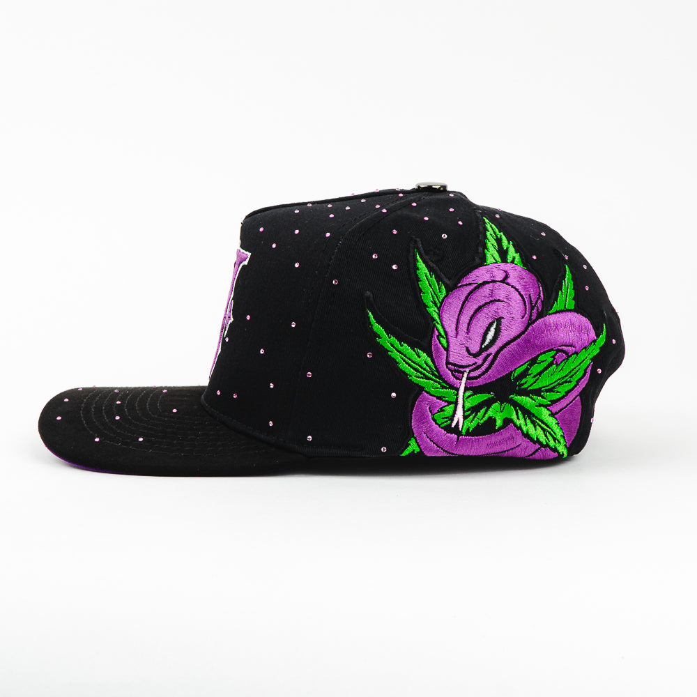 GORRA 5.7 VA SNAKE PURPLE