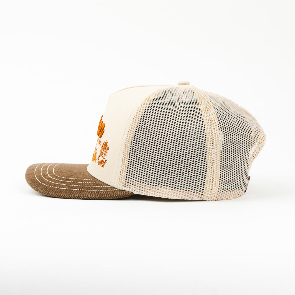 GORRA RANCH & CORRAL [STS58] GORRA STETSON 58