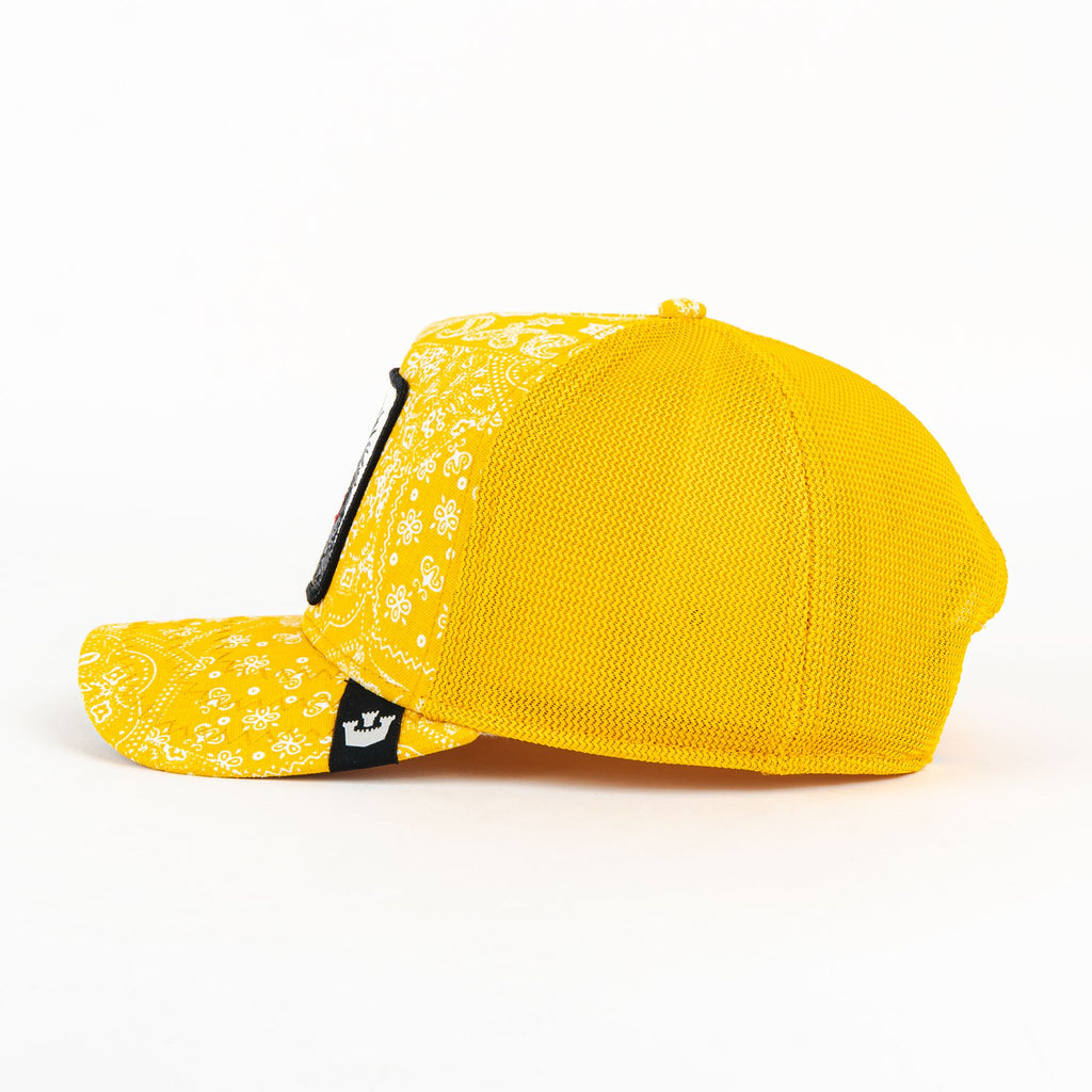 PUNK YELLOW