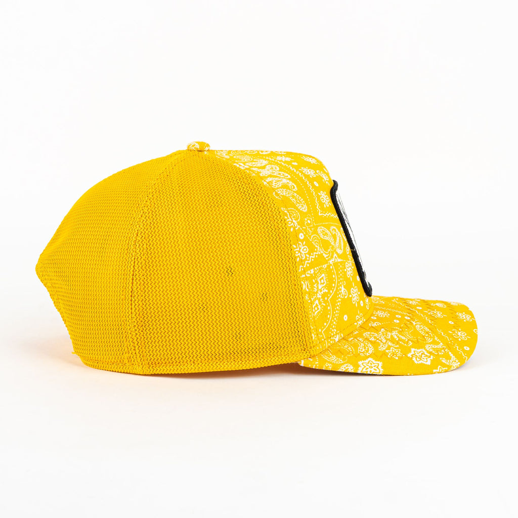 PUNK YELLOW