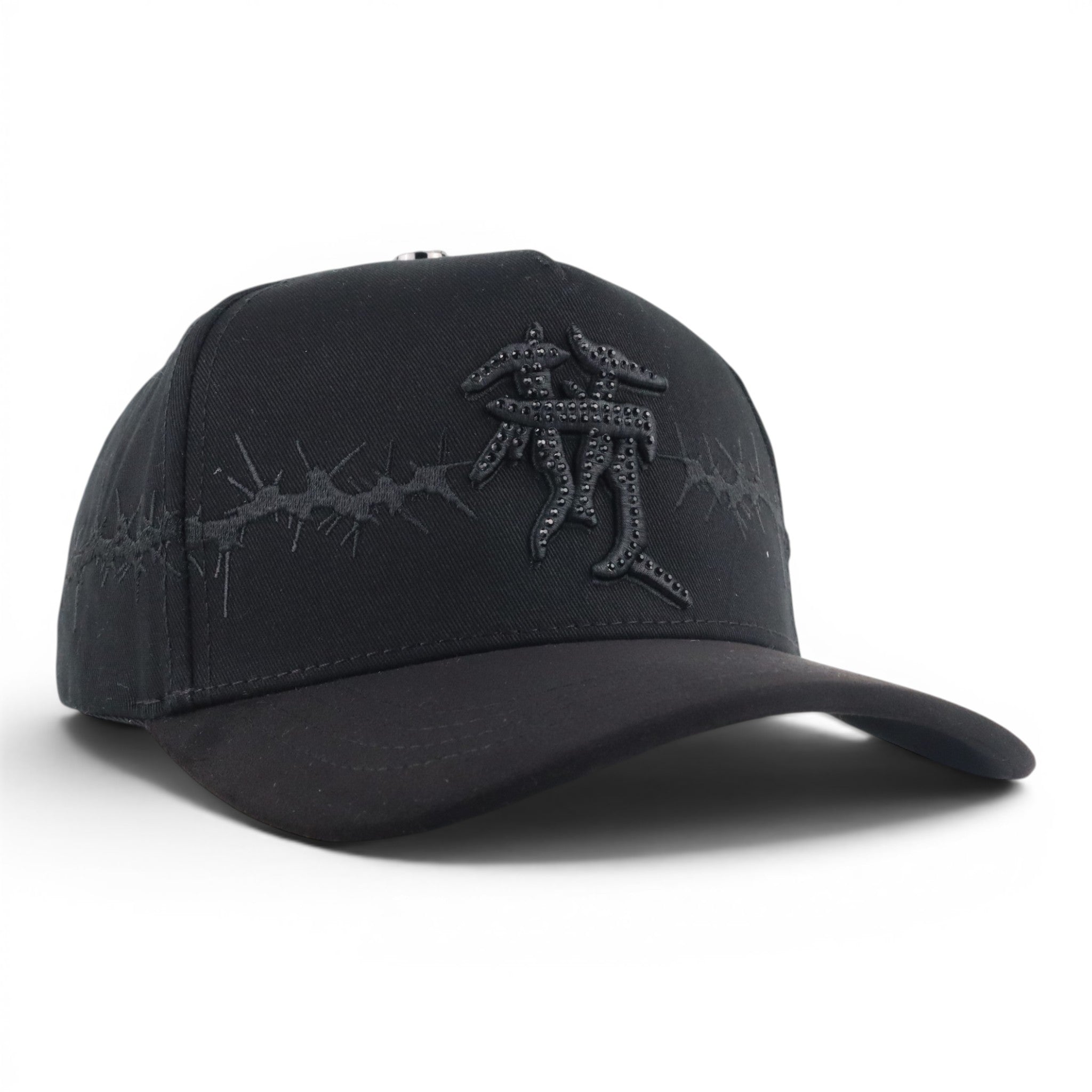 GORRA ACE HATS LA JESUS ALL BLACK
