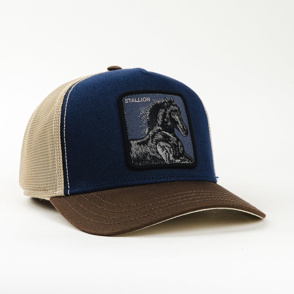 GORRA GOORIN BROS STALLION NAVY/BROWN