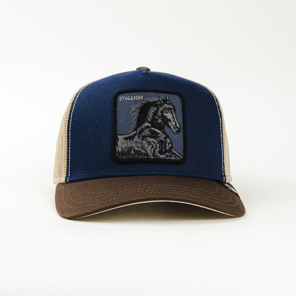 GORRA GOORIN BROS STALLION NAVY/BROWN