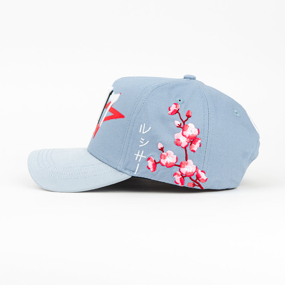 GORRA MONEY HATS SAKURA 77