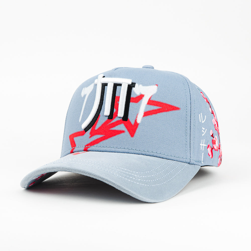 GORRA MONEY HATS SAKURA 77